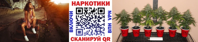 Магазин наркотиков Щёкино Канабис  ссылка на мегу зеркало  ГАШ  A PVP  Меф мяу мяу  Кокаин 