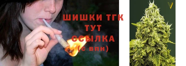 круглые Абаза