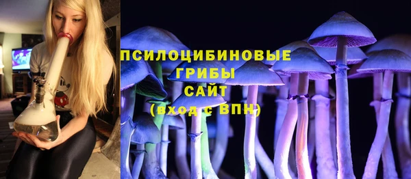 круглые Абаза